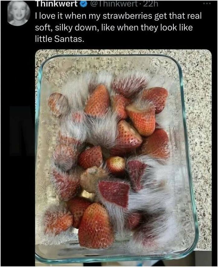 Let's Dive Into These 77 Hilarious Memes That Totally Get Life!