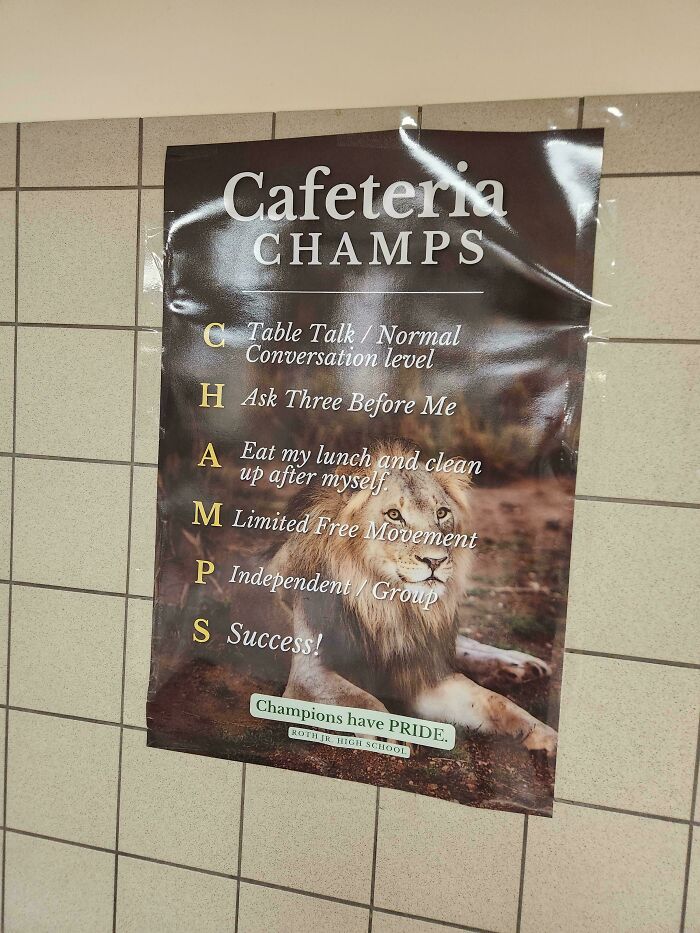 Champs? Found This At School Chess Match