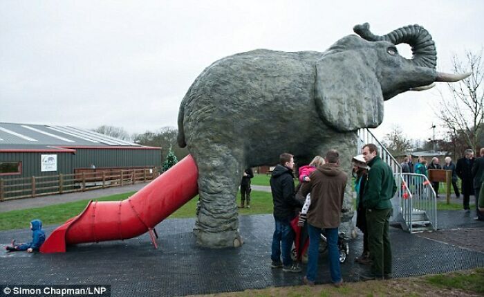 Noah’s Ark’s New Elephant Zone: Because Why Not?