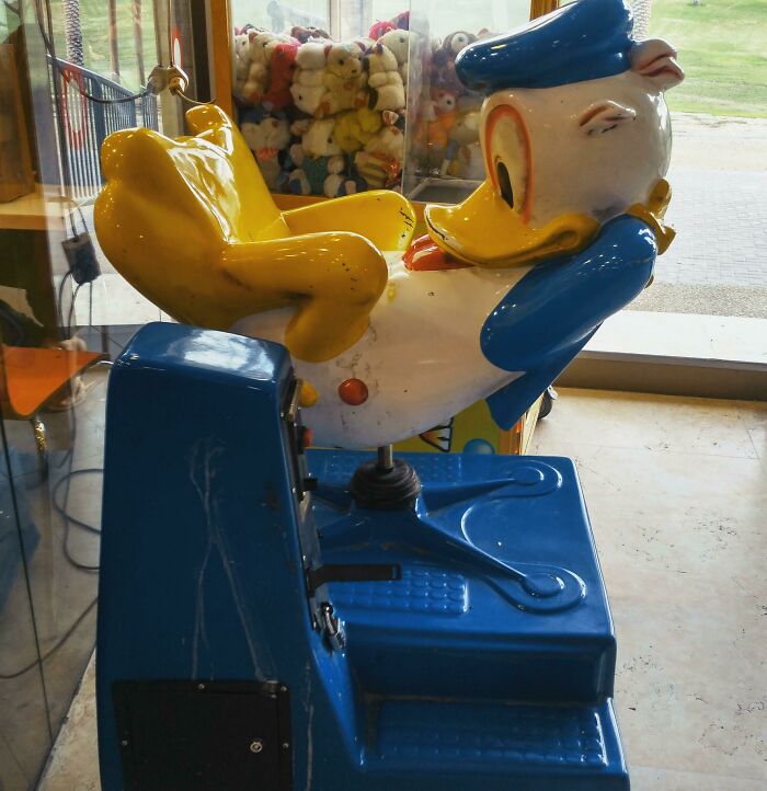 Donald Duck’s Playground: A Bit Too Close For Comfort