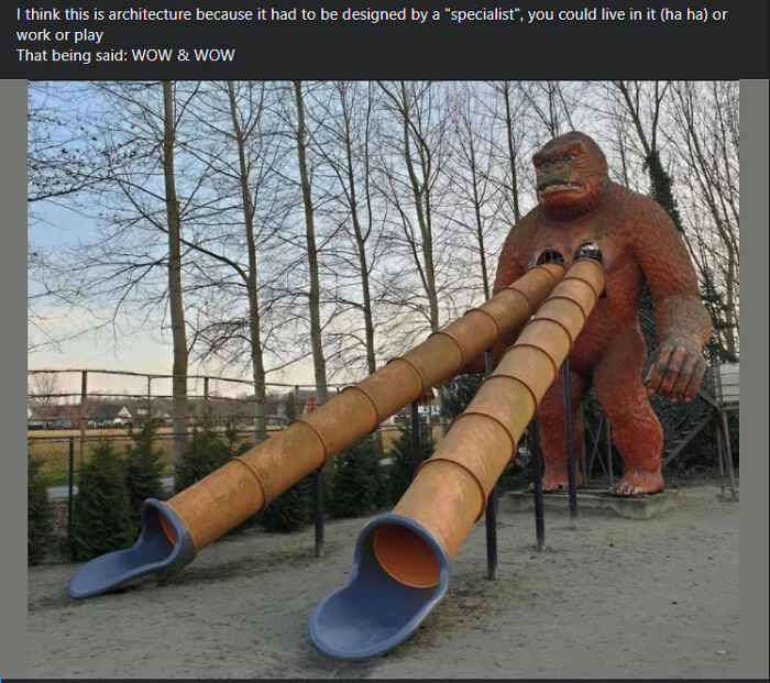 Specialist in ‘What Are We Even Doing’ Playgrounds