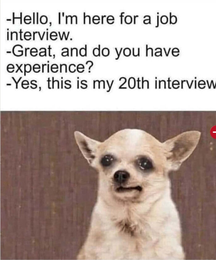 Wait, They Actually Asked For *That*?! (Job Posts & Recruiter Fails That Are Insane)