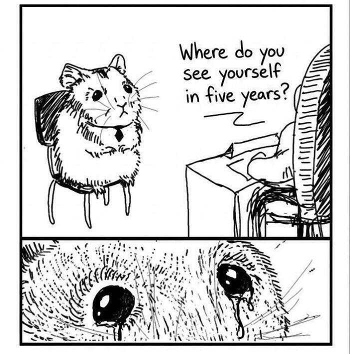 Sir, I’m A Hamster