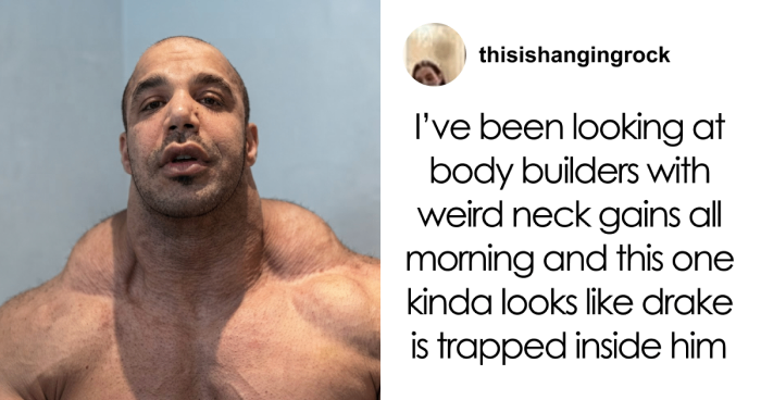 Wait, They Actually Collected These Random Memes? Here’s 55 Hilarious Gems!