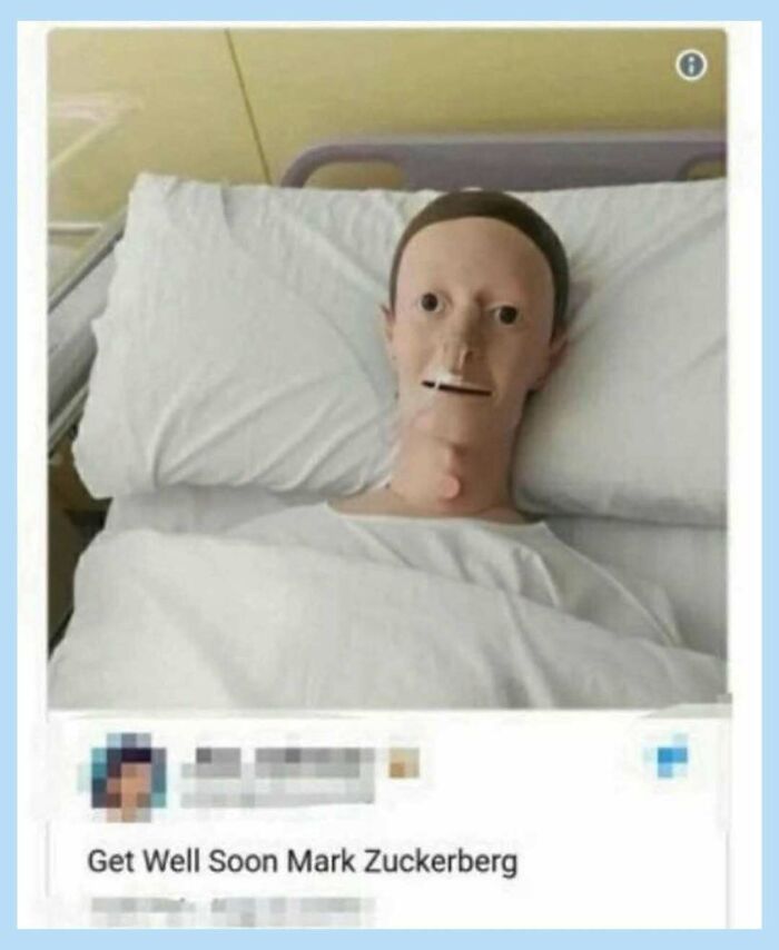 Wait, They Actually Collected These Random Memes? Here's 55 Hilarious Gems!