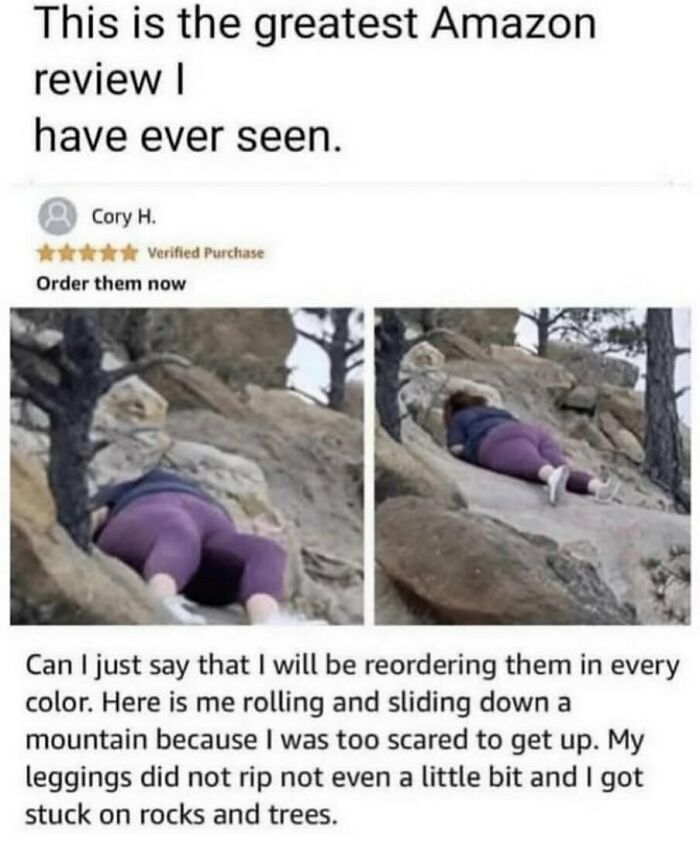 Wait, They Actually Collected These Random Memes? Here's 55 Hilarious Gems!