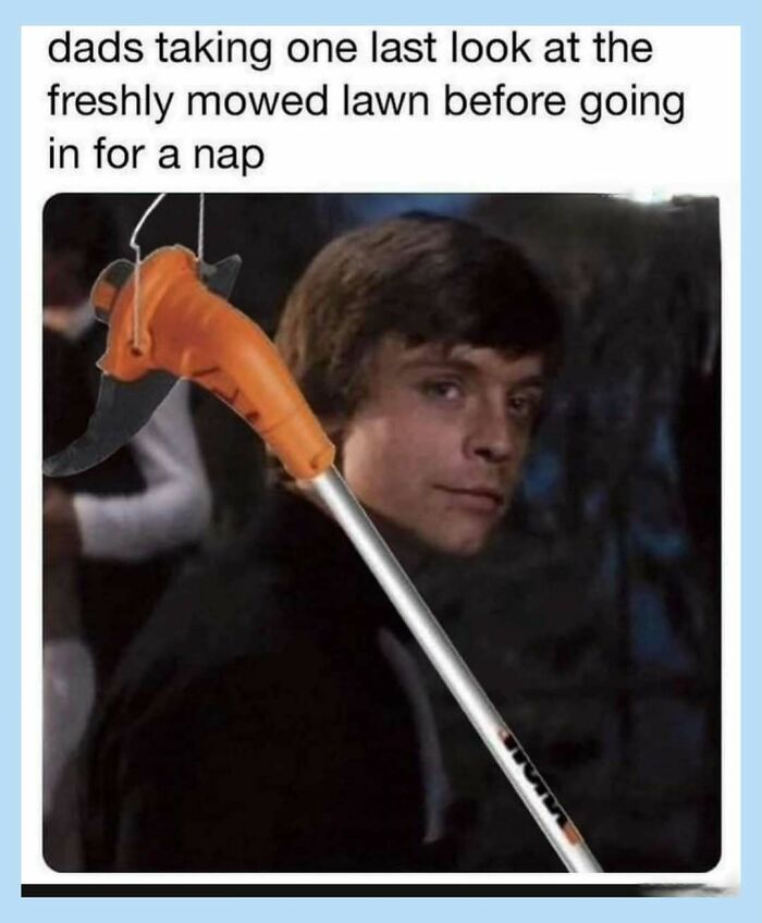 Wait, They Actually Collected These Random Memes? Here's 55 Hilarious Gems!