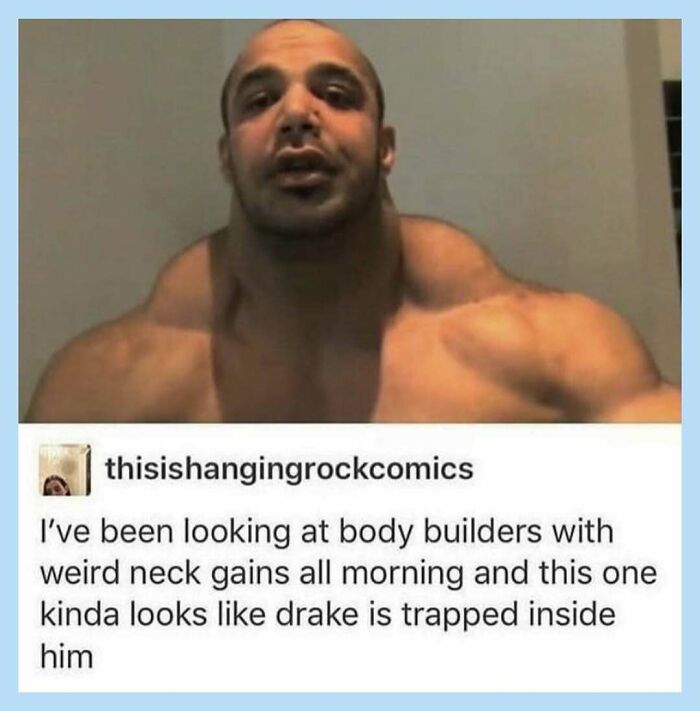 Wait, They Actually Collected These Random Memes? Here's 55 Hilarious Gems!