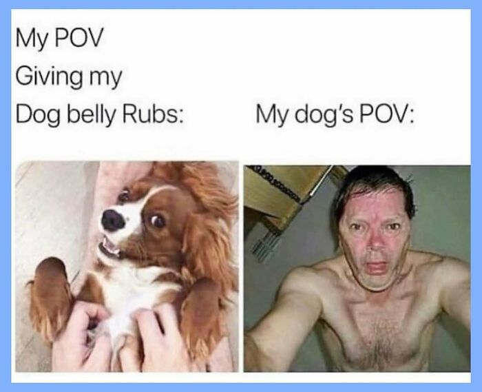 Wait, They Actually Collected These Random Memes? Here's 55 Hilarious Gems!