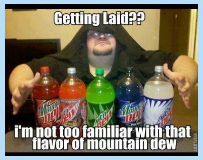 Wait, They Actually Collected These Random Memes? Here's 55 Hilarious Gems!
