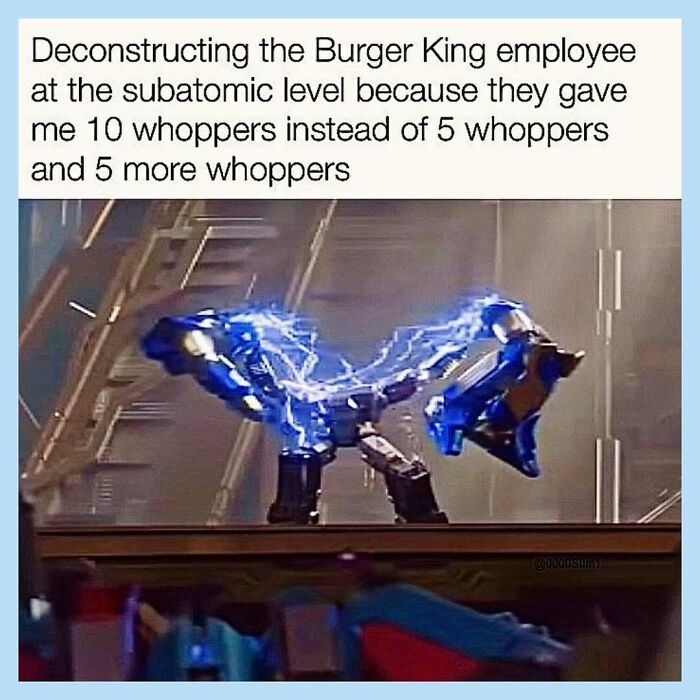 Wait, They Actually Collected These Random Memes? Here's 55 Hilarious Gems!