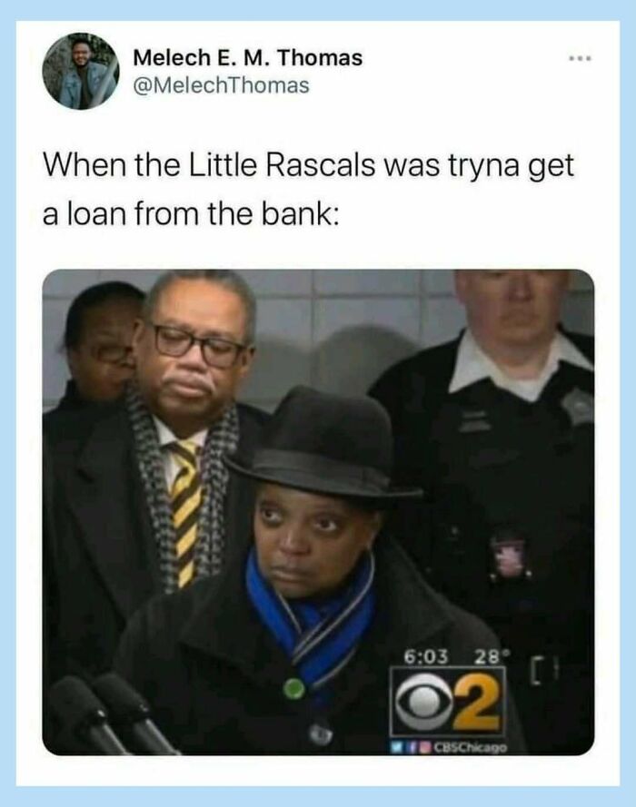 Wait, They Actually Collected These Random Memes? Here's 55 Hilarious Gems!