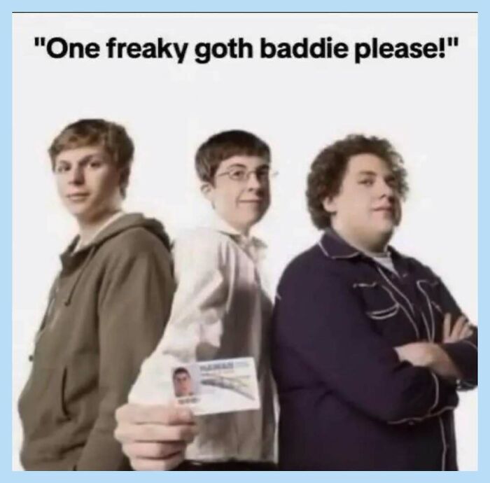 Wait, They Actually Collected These Random Memes? Here's 55 Hilarious Gems!
