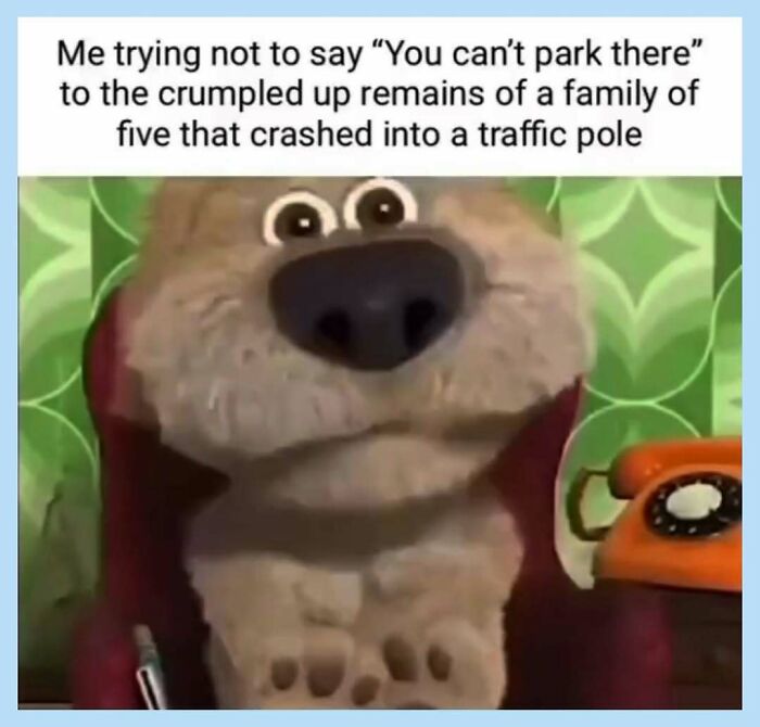 Wait, They Actually Collected These Random Memes? Here's 55 Hilarious Gems!