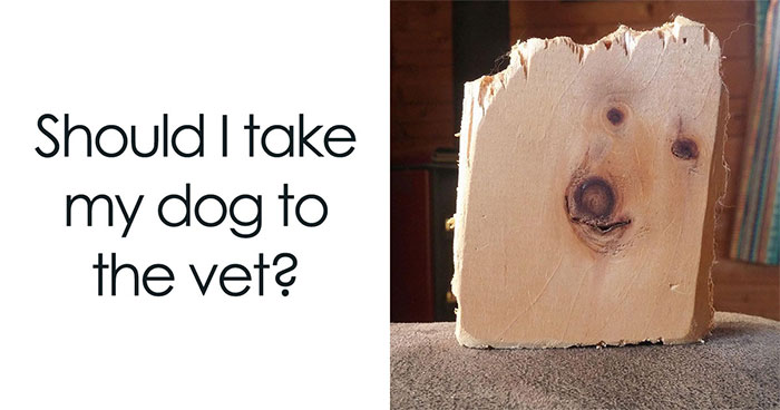 Wait, Our Brains See Faces Everywhere?! 62 Pics That’ll Freak You Out (In a Good Way)