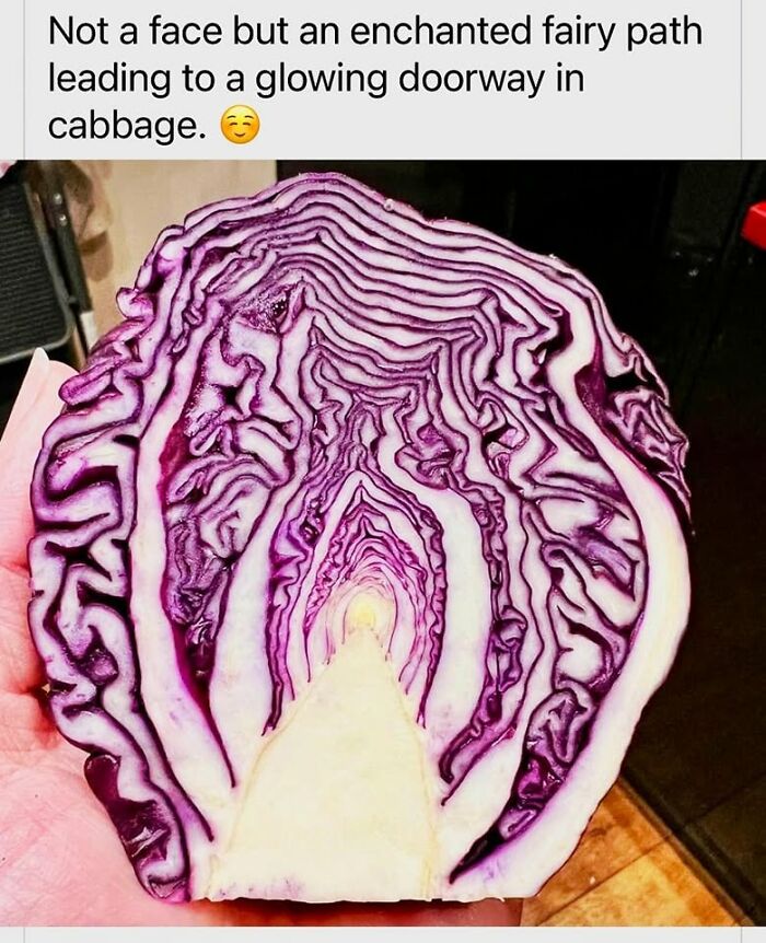 Wait, Our Brains See Faces Everywhere?! 62 Pics That’ll Freak You Out (In a Good Way)