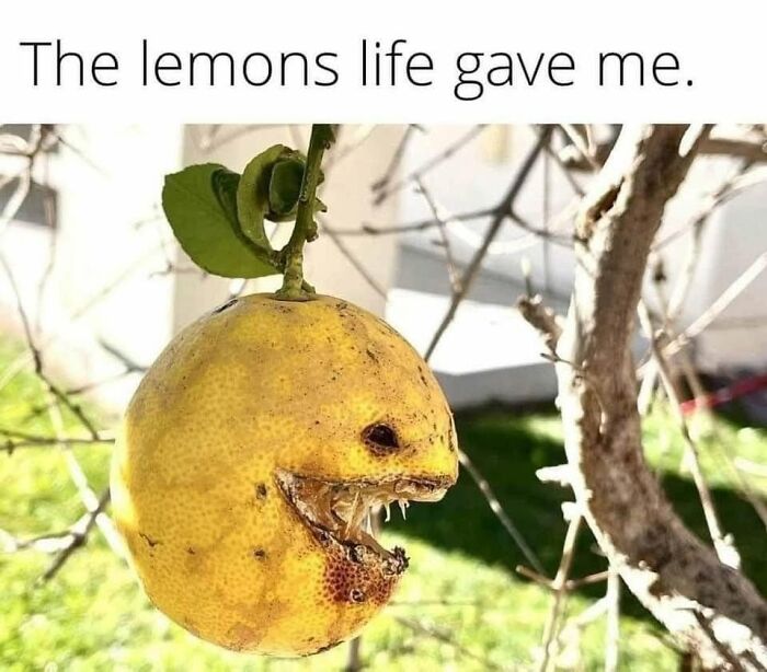 Wait, Our Brains See Faces Everywhere?! 62 Pics That’ll Freak You Out (In a Good Way)