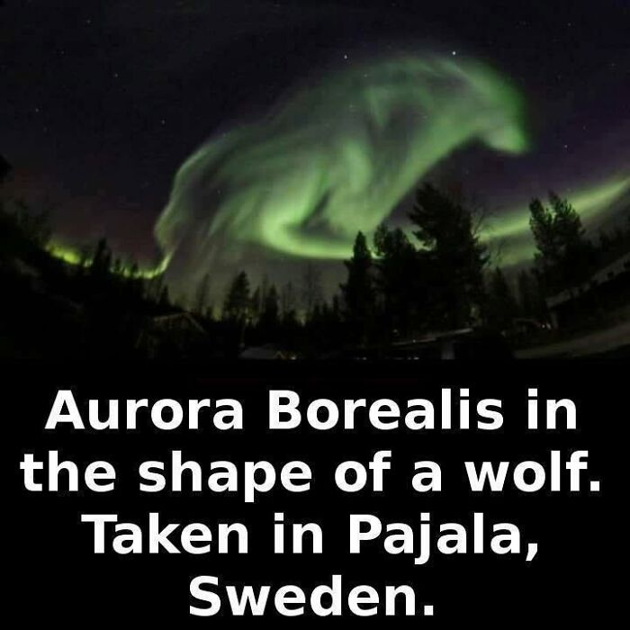 Wait, Our Brains See Faces Everywhere?! 62 Pics That’ll Freak You Out (In a Good Way)