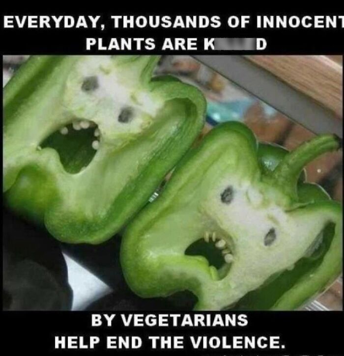 Wait, Our Brains See Faces Everywhere?! 62 Pics That’ll Freak You Out (In a Good Way)