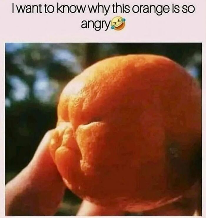 Wait, Our Brains See Faces Everywhere?! 62 Pics That’ll Freak You Out (In a Good Way)