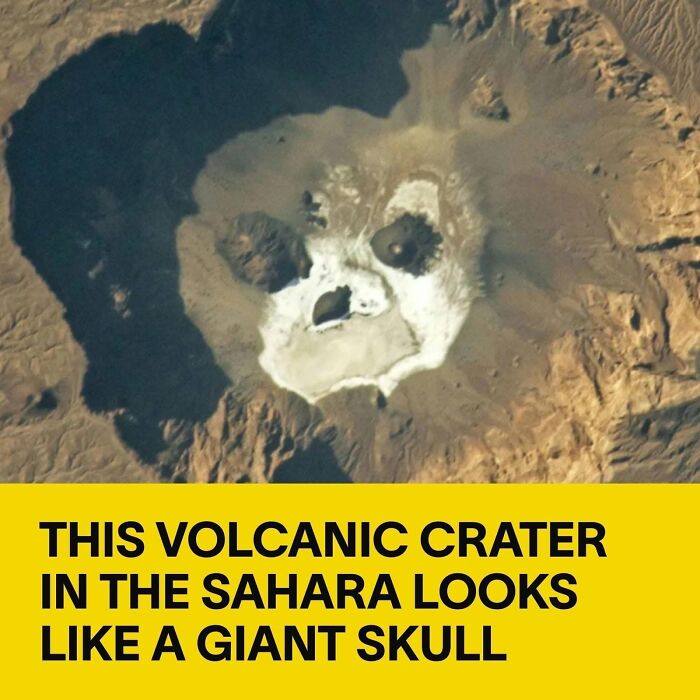 Wait, Our Brains See Faces Everywhere?! 62 Pics That’ll Freak You Out (In a Good Way)