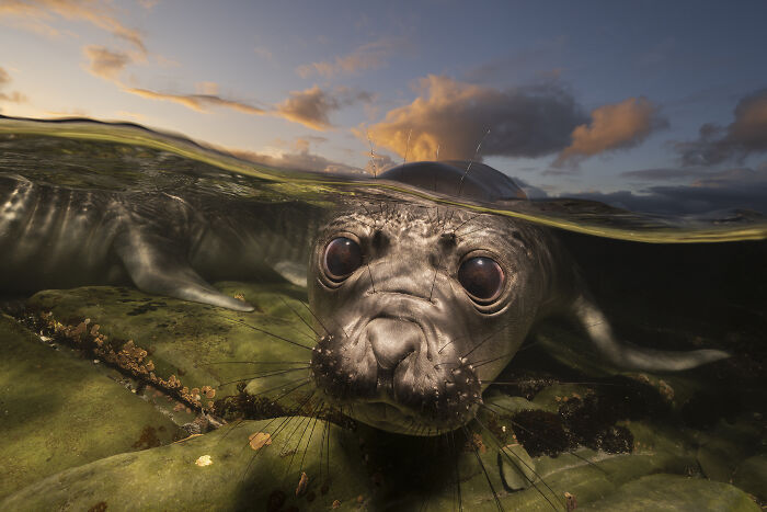 Wait, They Actually Picked These Ocean Photos?!