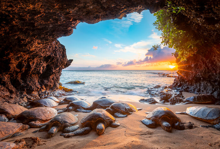 Wait, They Actually Picked These Ocean Photos?!