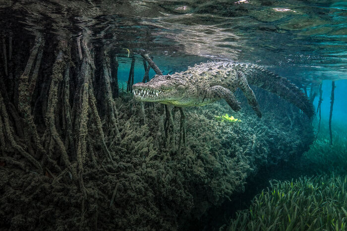 Wait, They Actually Picked These Ocean Photos?!