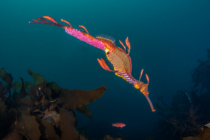 Wait, They Actually Picked These Ocean Photos?!