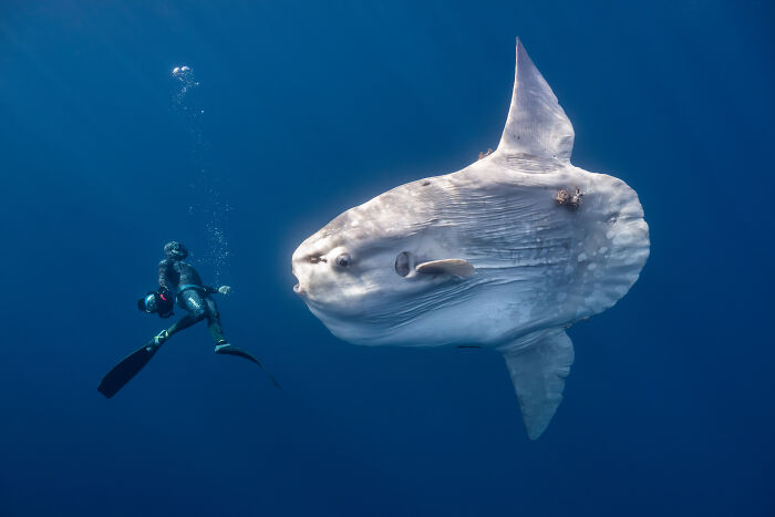 Wait, They Actually Picked These Ocean Photos?!