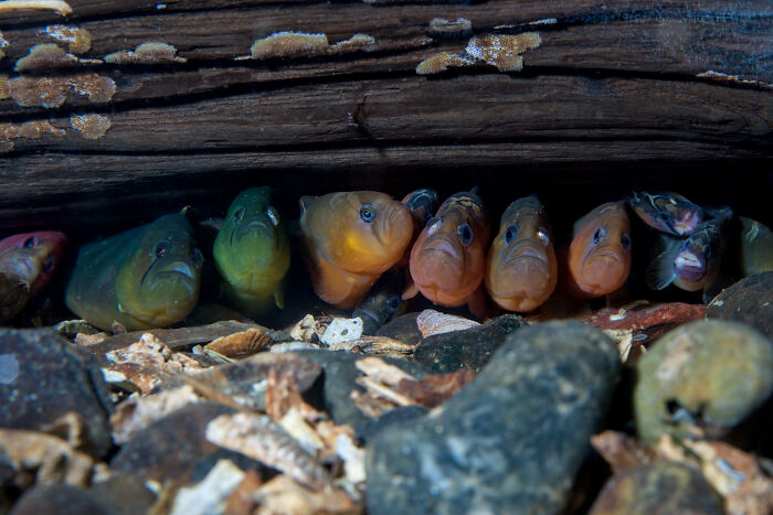 Wait, They Actually Picked These Ocean Photos?!