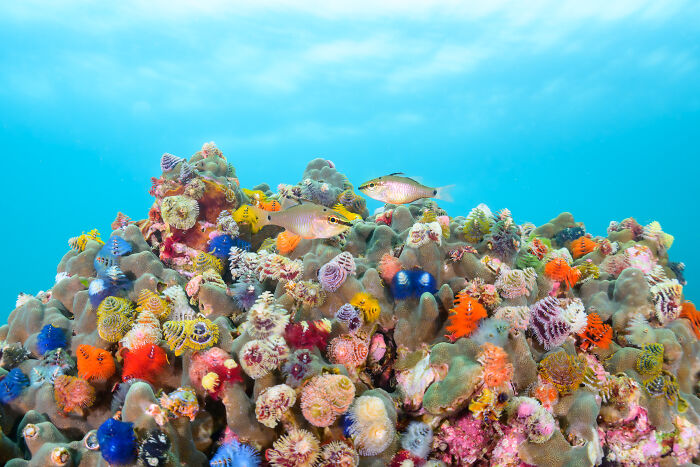 Wait, They Actually Picked These Ocean Photos?!