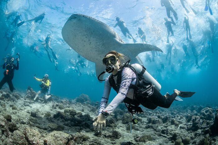 Wait, They Actually Picked These Ocean Photos?!