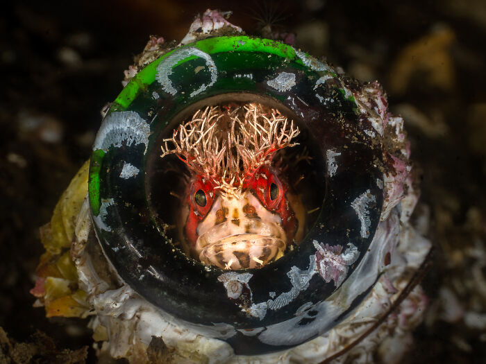 Wait, They Actually Picked These Ocean Photos?!