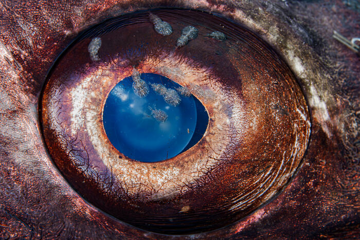 Wait, They Actually Picked These Ocean Photos?!