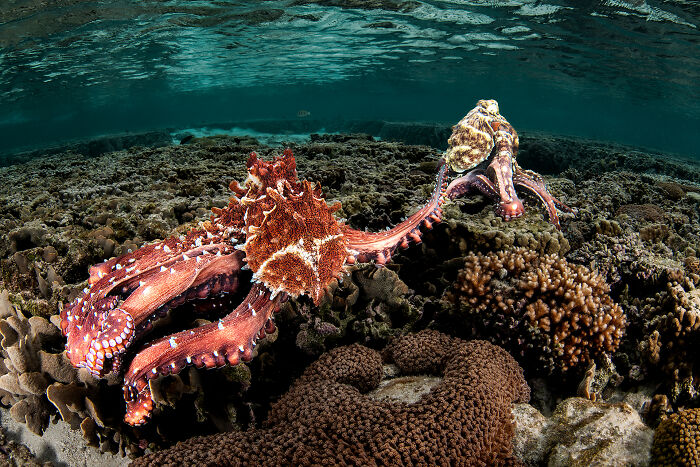 Wait, They Actually Picked These Ocean Photos?!