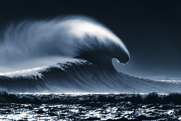 Wait, They Actually Picked These Ocean Photos?!