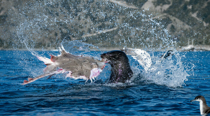 Wait, They Actually Picked These Ocean Photos?!