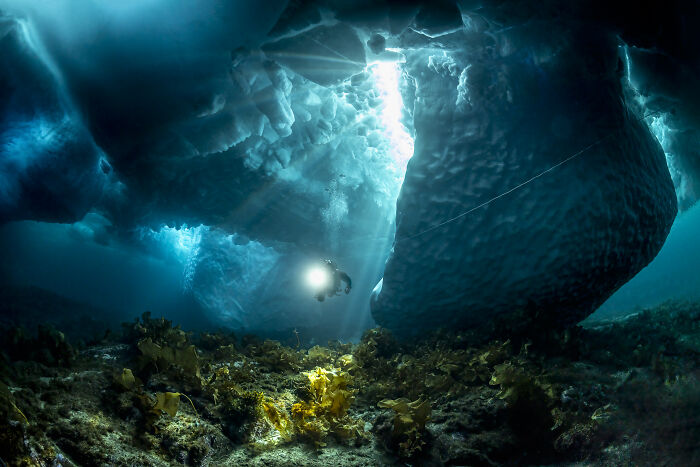 Wait, They Actually Picked These Ocean Photos?!