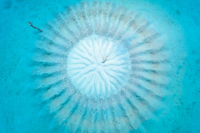 Wait, They Actually Picked These Ocean Photos?!