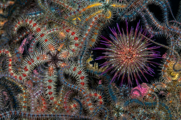 Wait, They Actually Picked These Ocean Photos?!