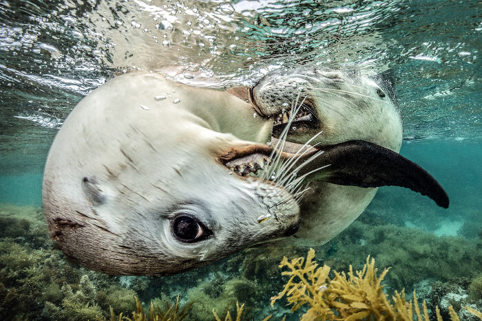 Wait, They Actually Picked These Ocean Photos?!