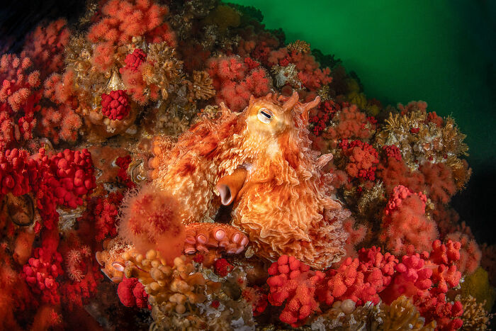 Wait, They Actually Picked These Ocean Photos?!