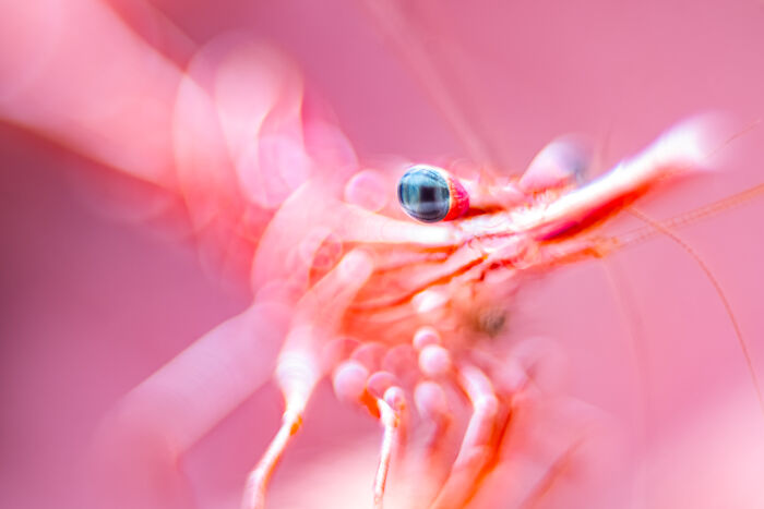 Wait, They Actually Picked These Ocean Photos?!