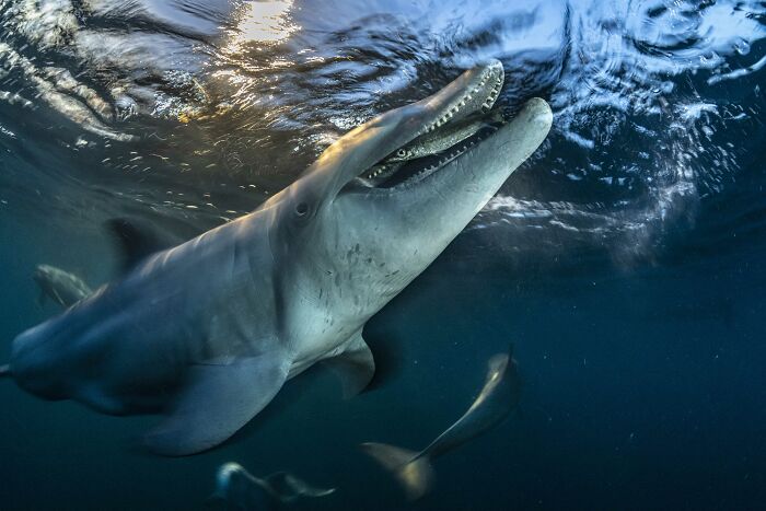 Wait, They Actually Picked These Ocean Photos?!