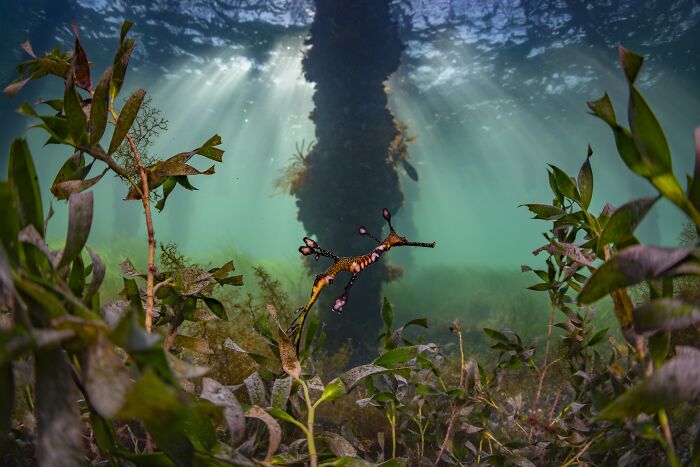 Wait, They Actually Picked These Ocean Photos?!