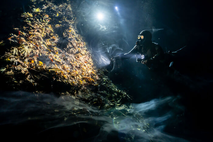 Wait, They Actually Picked These Ocean Photos?!