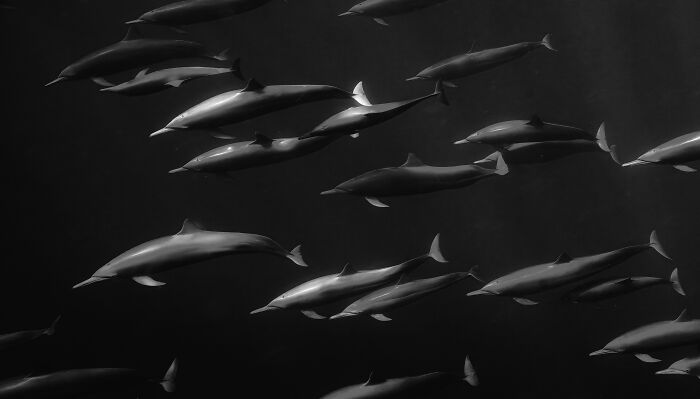 Wait, They Actually Picked These Ocean Photos?!