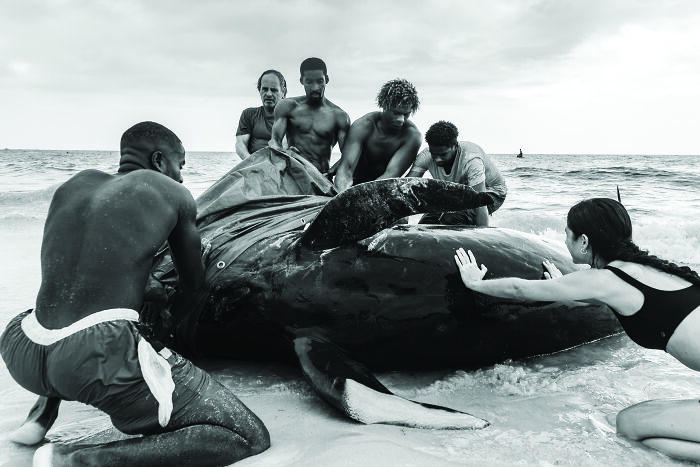 Wait, They Actually Picked These Ocean Photos?!
