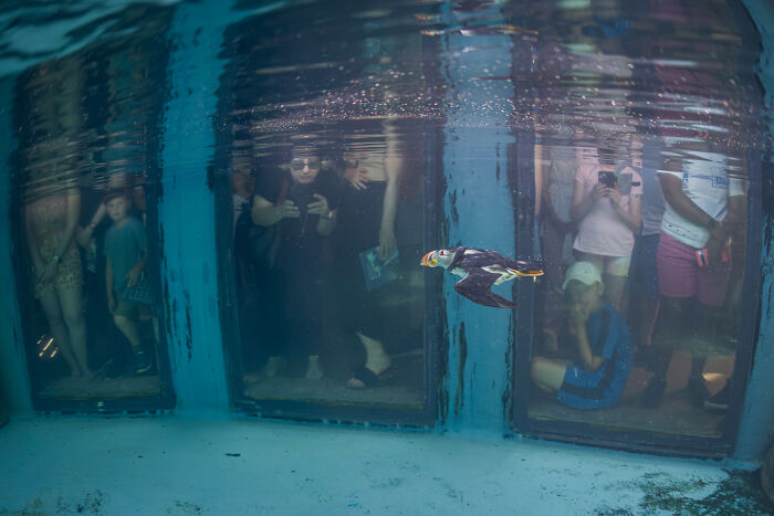 Wait, They Actually Picked These Ocean Photos?!